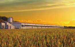 松林工貿(mào)迎來(lái)新一年新氣象