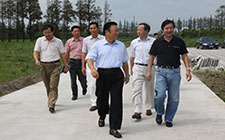 區(qū)委盛書記來我公司東石場(chǎng)視察