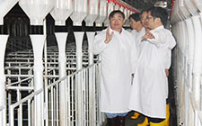 市農(nóng)委主任孫雷來東石