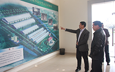 市農(nóng)委張貴龍副主任來東石