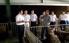 農(nóng)業(yè)部經(jīng)管司司長孫中華