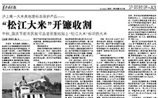 大米類地理標(biāo)志保護(hù)產(chǎn)品——  “松江大米”開鐮收割  中秋、國慶節(jié)前市民就可品嘗到首批貼上“松江大米”標(biāo)識的大米 