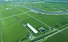 科學管理  產(chǎn)業(yè)化經(jīng)營 松林養(yǎng)豬業(yè)形成多重效應(yīng)