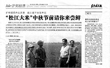 擴(kuò)種提質(zhì)齊頭并進(jìn)線上線下全面開花 “松江大米”中秋節(jié)前請你來嘗鮮