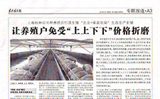 讓養(yǎng)殖戶免受“上上下下”價(jià)格折磨