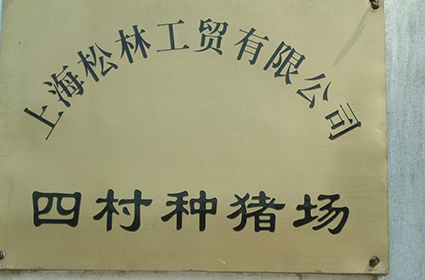 1993年收購張澤種雞場，經(jīng)改造后建成四村養(yǎng)豬場，當(dāng)年9月投入使用，商品豬圈存量4000頭。2006年根據(jù)政府要求，因黃浦江上游水資源保護(hù)而關(guān)閉。