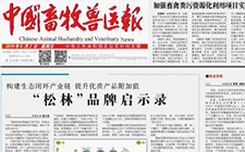 “松林”品牌啟示錄