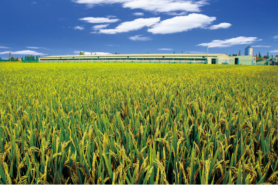 匠心鑄就品牌，仁心回饋社會（20191119三農網）1228