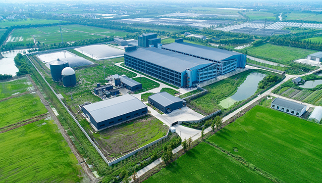 上海金山區(qū)1